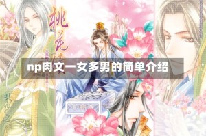 np肉文一女多男的简单介绍