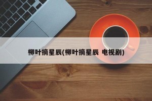柳叶摘星辰(柳叶摘星辰 电视剧)