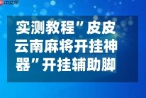实测教程”皮皮云南麻将开挂神器”开挂辅助脚本+详细