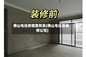 佛山毛坯房哪里有卖(佛山毛坯房装修公司)