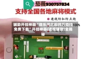 辅助开挂神器“微乐河北麻将万能挂免费下载”开挂神器{透视辅助}全揭秘