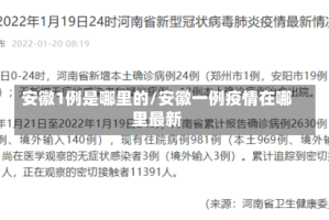 安徽1例是哪里的/安徽一例疫情在哪里最新