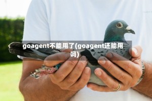 goagent不能用了(goagent还能用吗)