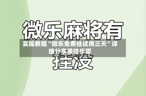 实操教程“微乐免费挂试用三天”详细分享装挂步骤