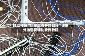 辅助神器“哈灵麻将开挂教程”详细外挂透视辅助软件教程