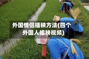 外国情侣插秧方法(四个外国人插秧视频)