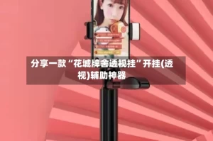 分享一款“花城牌舍透视挂”开挂(透视)辅助神器