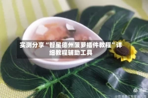 实测分享“智星德州菠萝插件教程”详细教程辅助工具