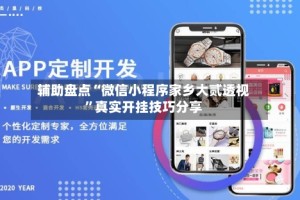 辅助盘点“微信小程序家乡大贰透视”真实开挂技巧分享