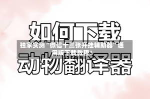 独家实测“微信十三张开挂辅助器”通用版下载教程！