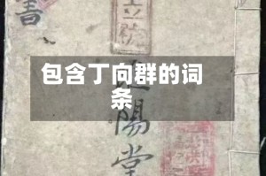 包含丁向群的词条