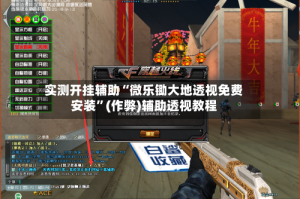 实测开挂辅助“微乐锄大地透视免费安装”(作弊)辅助透视教程