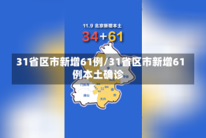 31省区市新增61例/31省区市新增61例本土确诊