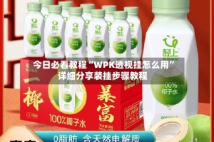 今日必看教程“WPK透视挂怎么用”详细分享装挂步骤教程