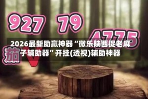 2026最新助赢神器“微乐陕西捉老麻子辅助器”开挂(透视)辅助神器