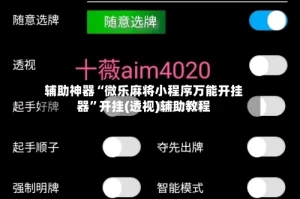 辅助神器“微乐麻将小程序万能开挂器”开挂(透视)辅助教程