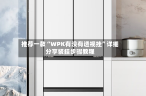 推荐一款“WPK有没有透视挂”详细分享装挂步骤教程