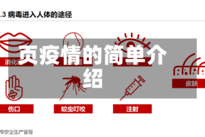 页疫情的简单介绍