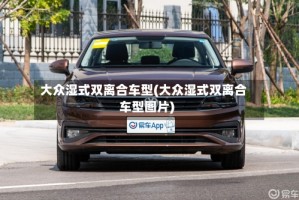 大众湿式双离合车型(大众湿式双离合车型图片)