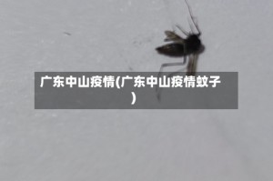 广东中山疫情(广东中山疫情蚊子)