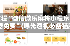 必看教程“微信微乐麻将小程序必赢神器免费”(曝光透视必备猫腻)