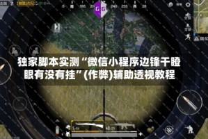 独家脚本实测“微信小程序边锋干瞪眼有没有挂”(作弊)辅助透视教程