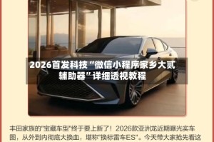 2026首发科技“微信小程序家乡大贰辅助器”详细透视教程