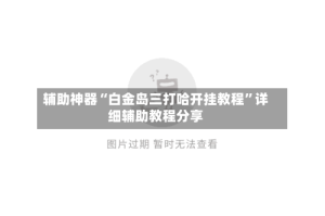 辅助神器“白金岛三打哈开挂教程”详细辅助教程分享