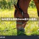 fork是什么意思(horse是什么意思)