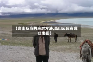 【高山反应的应对方法,高山反应有哪些表现】