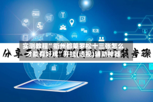 实测教程”衢州都莱罗松十三张怎么才能有好牌”开挂(透视)辅助神器