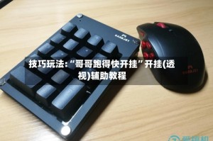 技巧玩法:“哥哥跑得快开挂”开挂(透视)辅助教程