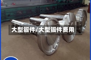 大型锻件/大型锻件费用