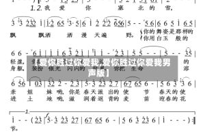 【爱你胜过你爱我,爱你胜过你爱我男声版】