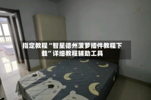 指定教程“智星德州菠萝插件教程下载”详细教程辅助工具