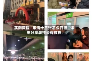 实测教程“乐清十三张怎么开挂”详细分享装挂步骤教程