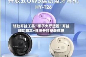 辅助开挂工具“椰子大厅透视”开挂辅助脚本+详细开挂安装教程