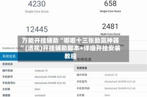 万能开挂辅助“嘟嘟十三张助赢神器”(透视)开挂辅助脚本+详细开挂安装教程