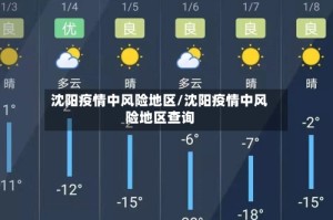 沈阳疫情中风险地区/沈阳疫情中风险地区查询