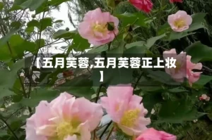 【五月芙蓉,五月芙蓉正上妆】