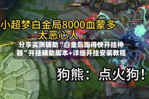 分享实测辅助“白金岛跑得快开挂神器”开挂辅助脚本+详细开挂安装教程