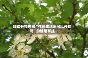 辅助开挂神器“花花生活圈可以开挂吗”的确是有挂