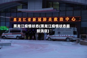 黑龙江疫情状态(黑龙江疫情状态最新消息)