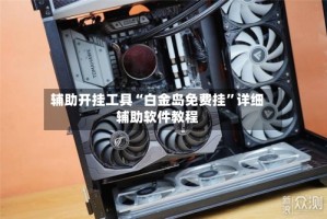 辅助开挂工具“白金岛免费挂”详细辅助软件教程