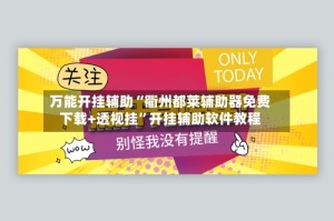 万能开挂辅助“衢州都莱辅助器免费下载+透视挂”开挂辅助软件教程