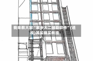 我来教大家“家乡大二辅助软件”(透视)其实确实有挂
