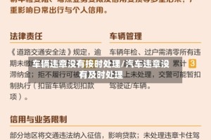 车辆违章没有按时处理/汽车违章没有及时处理