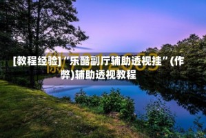 [教程经验]“乐酷副厅辅助透视挂”(作弊)辅助透视教程