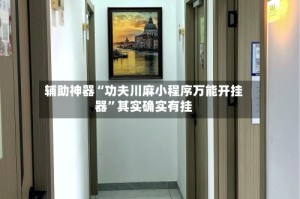 辅助神器“功夫川麻小程序万能开挂器”其实确实有挂
