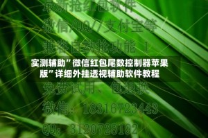 实测辅助”微信红包尾数控制器苹果版”详细外挂透视辅助软件教程